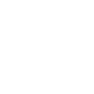 Vegas Berry 500x500_white